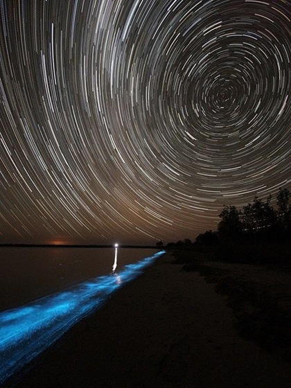 Bioluminescent Lake
